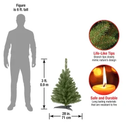 Unlit-National Tree Company Artificial Mini Christmas Tree, Green, Kincaid Spruce, Includes Stand, 3 Feet