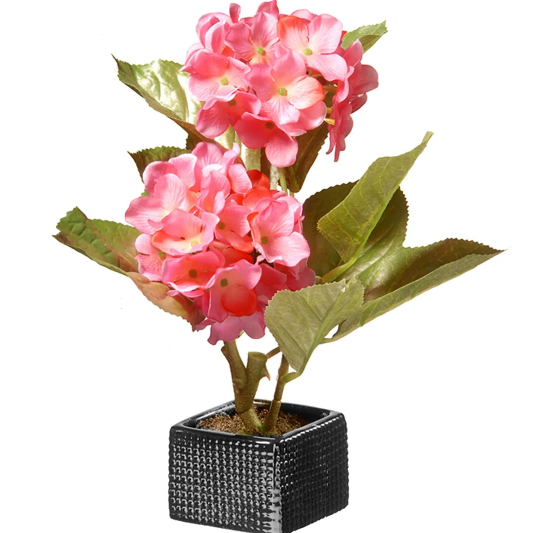 Potted Flower Plants-National Tree Company Artificial Potted Flowers, Pink Hydrangeas, Decorated With Leafy Greens, Includes Black Base, Spring Collection, 10 Inches