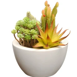 Potted Plants-National Tree Company Artificial Potted Plant, Decorated With Various Green Succulents, Includes Stylish White Ceramic Base, Spring Collection, 8 Inches