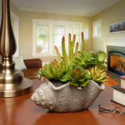 Potted Plants-National Tree Company Artificial Potted Plant, Decorated With Various Green And Orange Succulents, Includes Stylish Conch Shell Cement Pot Base, Spring Collection, 11 Inches