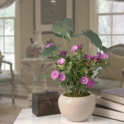 Potted Flower Plants-National Tree Company Artificial Potted Plant, Decorated With Purple Flower Blooms, Flowing Stems, Includes Cream Ceramic Pot Base, Spring Collection, 18 Inches
