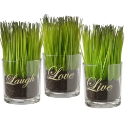 Potted Plants-National Tree Company Artificial Potted Plant Set, Green Plant Sprouts, Square Glass Pot Base With Messages, Pack Of 3, Spring Collection, 6 Inches Each