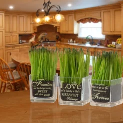 Potted Plants-National Tree Company Artificial Potted Plant Set, Green Plant Sprouts, Square Glass Pot Base With Messages, Pack Of 3, Spring Collection, 7 Inches Each