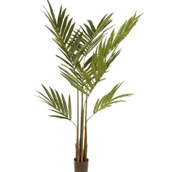 Potted Plants-National Tree Company Artificial Potted Tree, Kentia Palm, Decorated With Leaves, Simulated Soil, Includes Black Pot Base, Spring Collection, 4 Feet