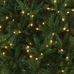 Clear-National Tree Company Artificial Pre-Lit Slim Christmas Tree, Green, Kingswood Fir, White Lights, Includes Stand, 10 Feet