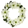 Flower Wreaths-National Tree Company Artificial Spring Wreath, Vine Stem Base, Decorated With White Magnolia Flowers, Dark Green Leaves, Spring Collection, 24 Inches