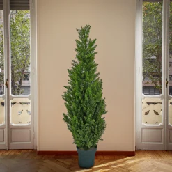 Topiaries / Shurbs-National Tree Company Artificial Tree Decoration, Cedar, Includes Green Pot Base, Spring Collection, 50 Inches