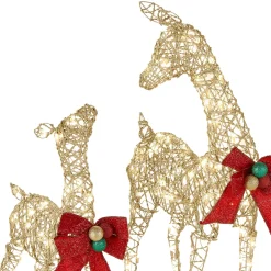 Christmas Outdoor Accessories-National Tree Company Deer Family Assortment