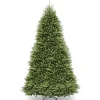 National Tree Company Full^Dunhill® Fir Tree