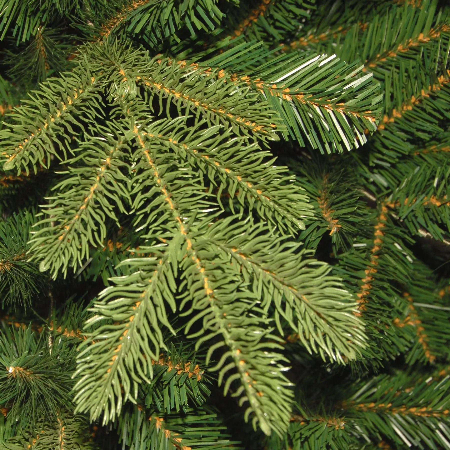 7Ft - 9Ft-National Tree Company Feel Real' Artificial Christmas Tree, Norwegian Spruce, Green, Includes Stand, 7.5 Feet