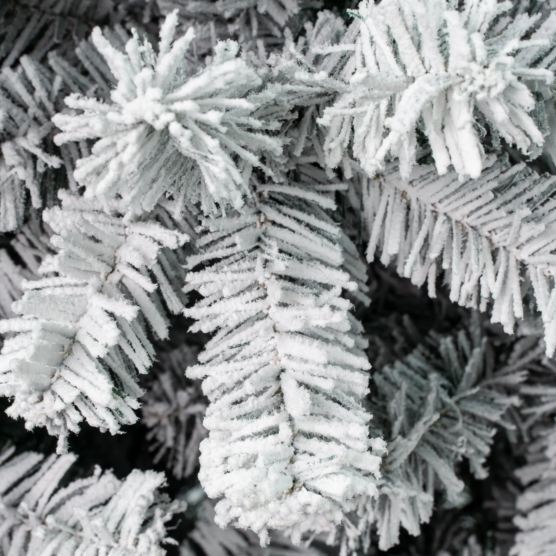 Unlit-National Tree Company First Traditions Acacia Flocked Tree Slim Christmas Tree, 9 Ft