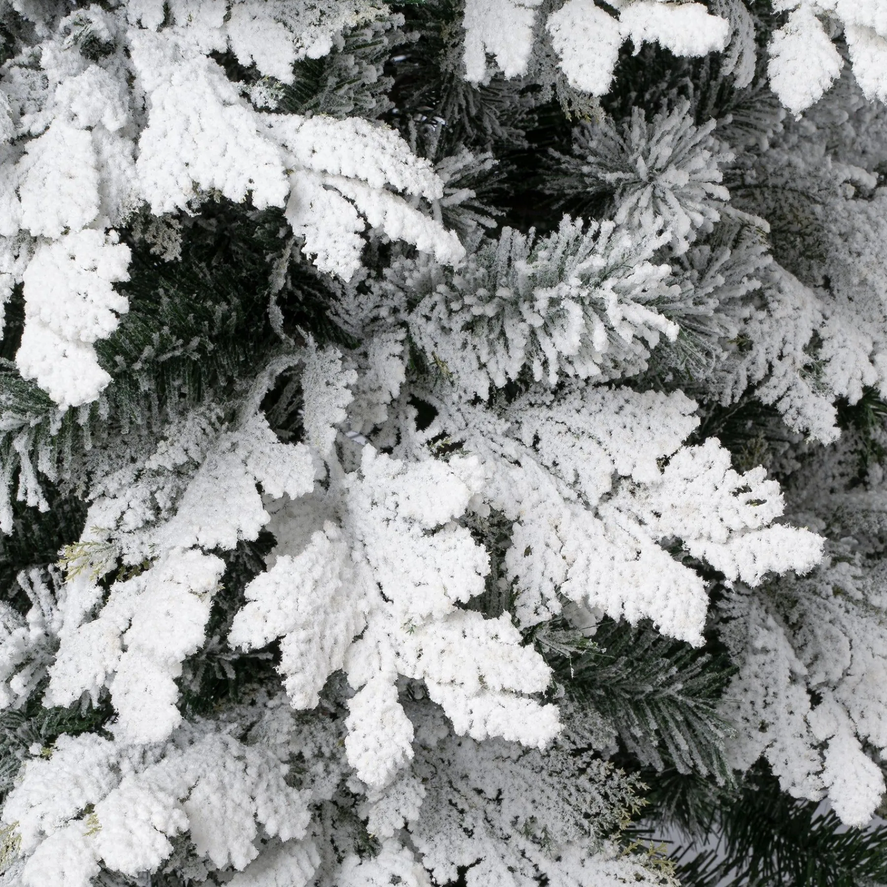 Full-National Tree Company First Traditions Acacius Snowy Christmas Tree With Hinged Branches, 7.5 Ft