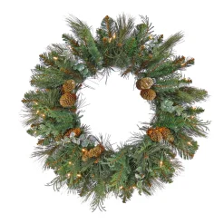 21" To 24" Wreath-National Tree Company First Traditions Collection, 24" Pre-Lit Artificial North Conway Wreath With Glittery Cones And Eucalyptus