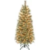 Slim-National Tree Company First Traditions Pre-Lit Arcadia Pine Cashmere Slim Christmas Tree, Clear Incandescent Lights, Plug In, 4.5 Ft