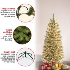 Slim-National Tree Company First Traditions Pre-Lit Arcadia Pine Cashmere Slim Christmas Tree, Clear Incandescent Lights, Plug In, 4.5 Ft