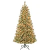 5Ft - 6Ft-National Tree Company First Traditions Pre-Lit Arcadia Pine Cashmere Christmas Tree, Clear Incandescent Lights, Plug In, 6 Ft