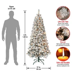5Ft - 6Ft-National Tree Company First Traditions Pre-Lit Acacia Flocked Tree Christmas Tree, Clear Incandescent Lights, Plug In, 6 Ft