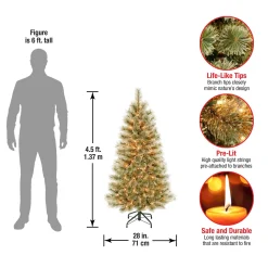 Clear-National Tree Company First Traditions Pre-Lit Arcadia Pine Cashmere Christmas Tree, Clear Incandescent Lights, Plug In, 4.5 Ft