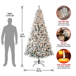 7Ft - 9Ft-National Tree Company First Traditions Pre-Lit Acacia Flocked Tree Christmas Tree, Clear Incandescent Lights, Plug In, 7.5 Ft