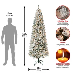Slim-National Tree Company First Traditions Pre-Lit Acacia Flocked Tree Medium Christmas Tree, Clear Incandescent Lights, Plug In, 7.5 Ft