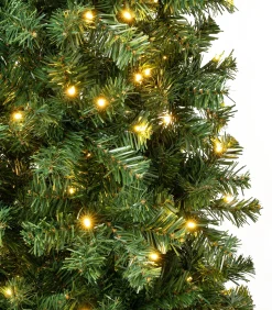 Slim-National Tree Company First Traditions Pre-Lit Artificial Linden Spruce Christmas Tree, Warm White Led Lights, Plug In, 6 Ft