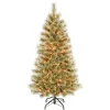 National Tree Company Full^First Traditions Pre-Lit Arcadia Pine Cashmere Christmas Tree, Clear Incandescent Lights, Plug In, 4.5 Ft