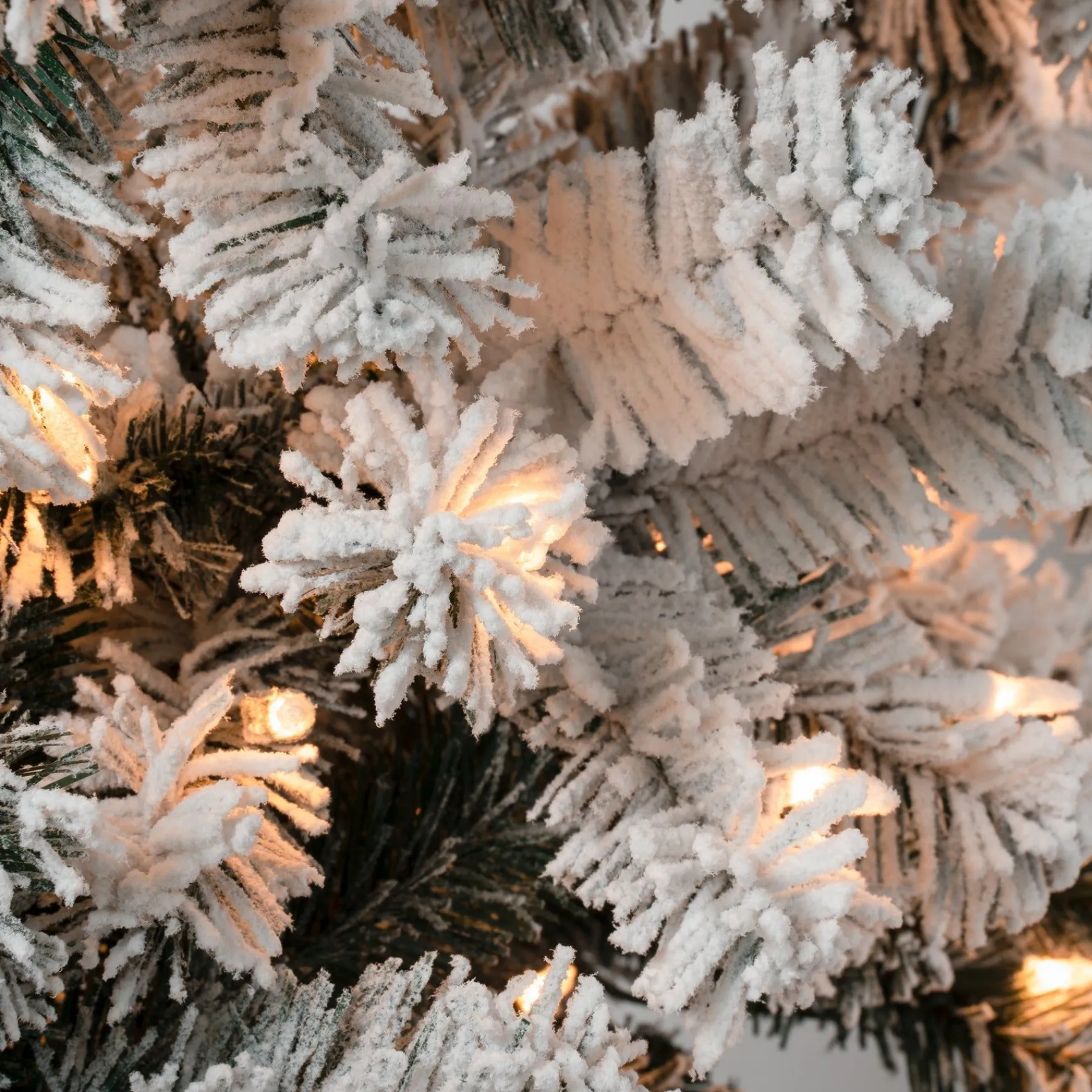 7Ft - 9Ft-National Tree Company First Traditions Pre-Lit Acacia Flocked Tree Slim Christmas Tree, Clear Incandescent Lights, Plug In, 7.5 Ft