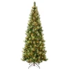 Slim-National Tree Company First Traditions Pre-Lit Charleston Pine Snowy Slim Christmas Tree, Clear Incandescent Lights, Plug In, 9 Ft