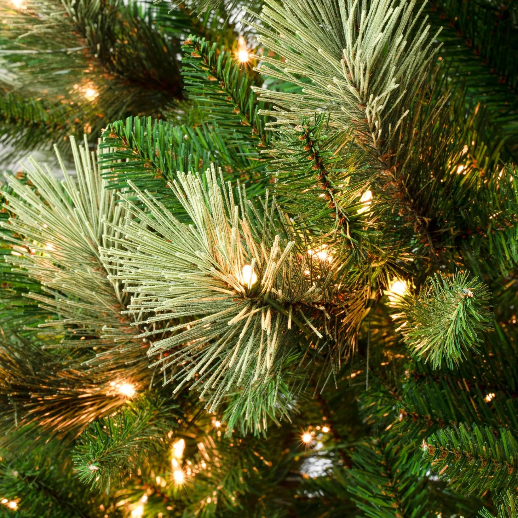 Slim-National Tree Company First Traditions Pre-Lit Charleston Pine Snowy Slim Christmas Tree, Clear Incandescent Lights, Plug In, 7.5 Ft