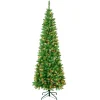National Tree Company Slim^First Traditions Pre-Lit Rowan Pencil Slim Christmas Tree, Multicolor Incandescent Lights, Plug In, 7.5 Ft