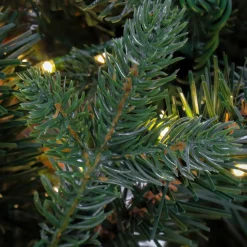 Full-National Tree Company 9Ft Pre-Lit Artificial Feel Real Christmas Aspen Pine Hinged Tree, 4660 Warm White Led Cosmic Lights -Ul