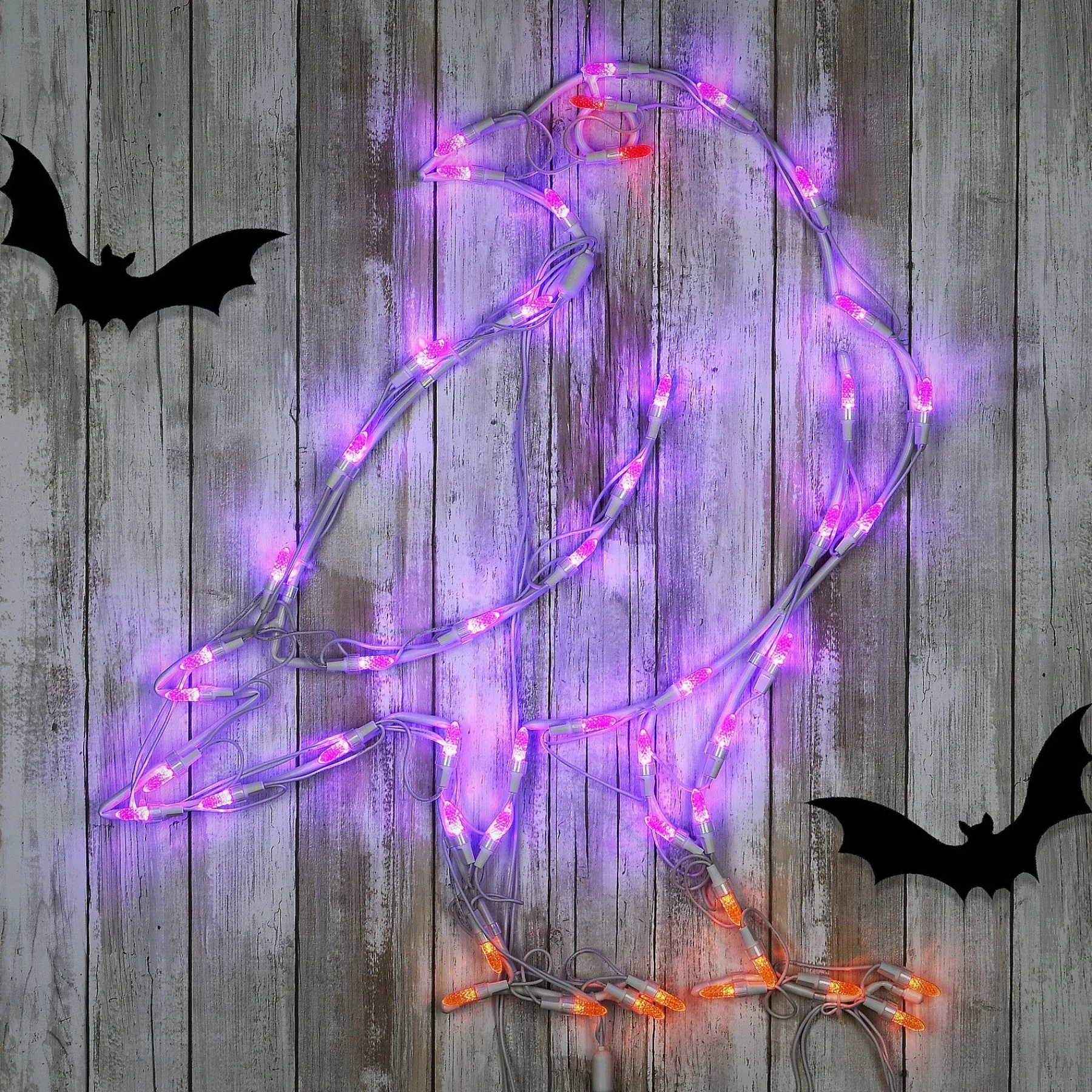 Halloween Signs Decoration-National Tree Company Halloween Lighted Sign Decoration, White, Raven, Led Lights, Plug In, 2 Feet