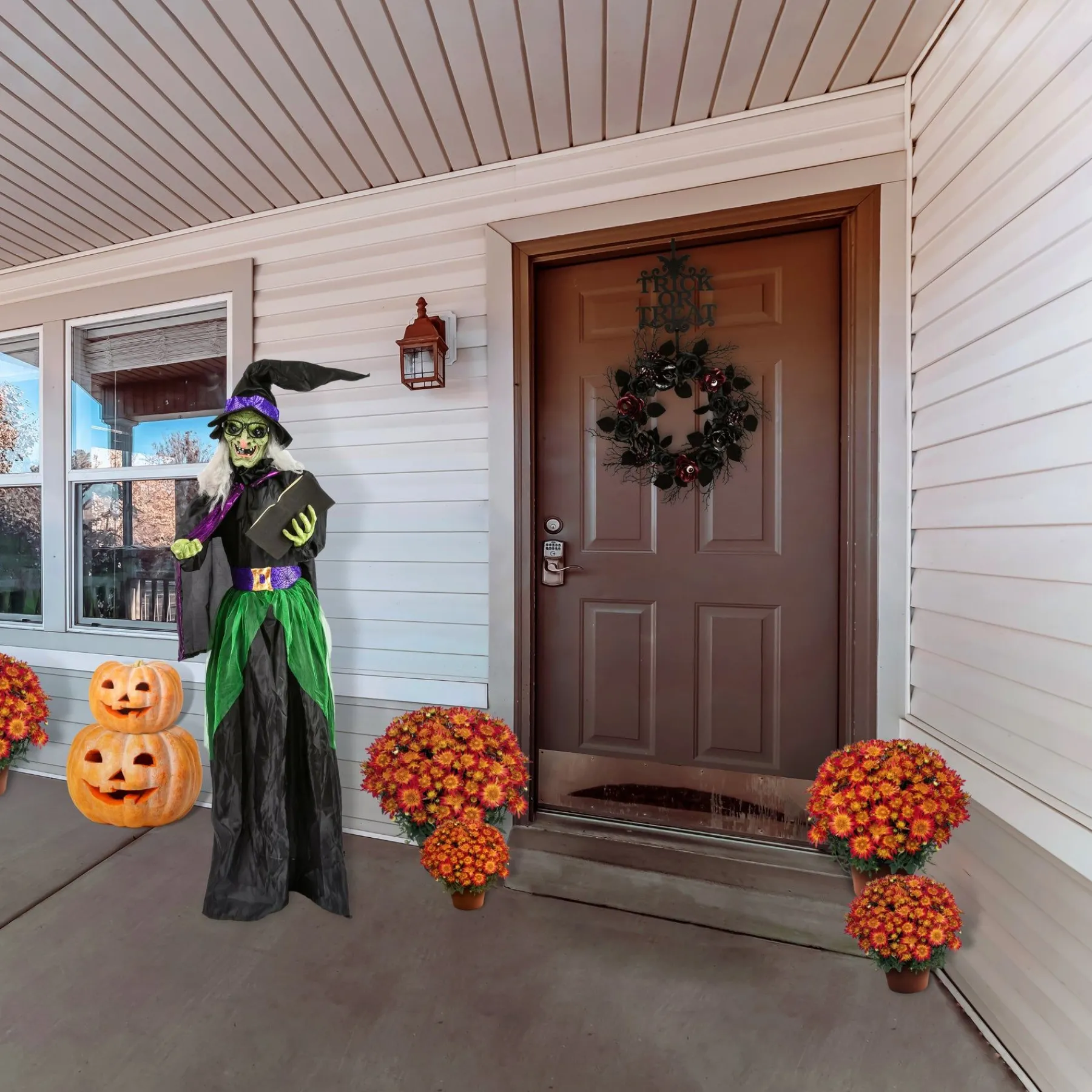 Halloween Animated Decoration-National Tree Company Halloween Pre Lit Animated Wicked Witch, Black, Sound Activated, Led Lights, Battery Operated, 6 Feet