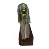 Halloween Animated Decoration-National Tree Company Halloween Pre Lit Animated Scary Green Witch, Green, Sound Activated, Led Lights, Battery Operated, 59 Inches