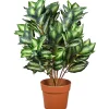 National Tree Company Home & Garden Decor^30"Hosta Plant In Brown Round Growers Pot