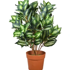National Tree Company Potted Plants^30"Hosta Plant In Brown Round Growers Pot