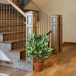 Potted Plants-National Tree Company 30"Hosta Plant In Brown Round Growers Pot