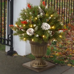 Christmas Greenery-National Tree Company 24In Frosted Berry Porch Bush With Clear Lights