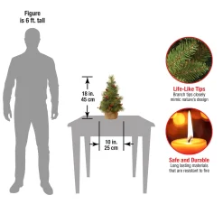 Full-National Tree Company 18In. Miniature Pine Tree