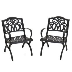 Patio Sets-National Tree Company National Outdoor Living All Weather Chair Set, Black Finish, Cast Aluminum, Leeds Collection, Set Of 2, 36 Inches