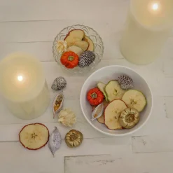 Christmas Accessories-National Tree Company 6" 250 Gram Mixed Potpourri- Sliced Apples And White Washed Cones