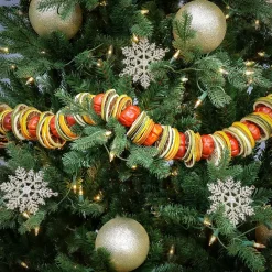Flower Garlands / Swag-National Tree Company 4' Dried Citrus And Tomato Garland