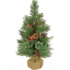 Unlit-National Tree Company 24" Glistening Pine Small Tree With Pine Cones, Red Berries, And Twigs In A Burlap Base- 15 Warm White Led Lights- Battery Operated With Timer