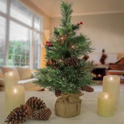 Slim-National Tree Company 24" Glistening Pine Small Tree With Pine Cones, Red Berries, And Twigs In A Burlap Base- 15 Warm White Led Lights- Battery Operated With Timer