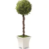 National Tree Company Potted Plants^ Artificial Entrance Tree, Spherical Topiary, Includes Stylish Wooden White Base, Spring Collection, 30 Inches
