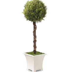 National Tree Company Potted Plants^ Artificial Entrance Tree, Spherical Topiary, Includes Stylish Wooden White Base, Spring Collection, 30 Inches