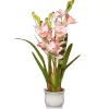 National Tree Company Home & Garden Decor^ Artificial Potted Flowers, Light Pink Orchids, Includes White Base, Spring Collection, 31 Inches