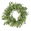 National Tree Company Home & Garden Decor^ Artificial Wreath Decoration, Green, Woven Branch Base, Decorated With Eucalyptus Leaves, Flowing Green Stems, Spring Collection, 22 Inches