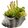 National Tree Company Potted Plants^ Artificial Potted Plant, Decorated With Various Green And Orange Succulents, Includes Stylish Conch Shell Cement Pot Base, Spring Collection, 11 Inches