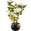 National Tree Company Home & Garden Decor^ Artificial Potted Flower, White Rose, Incudes Black Base, Spring Collection, 10 Inches